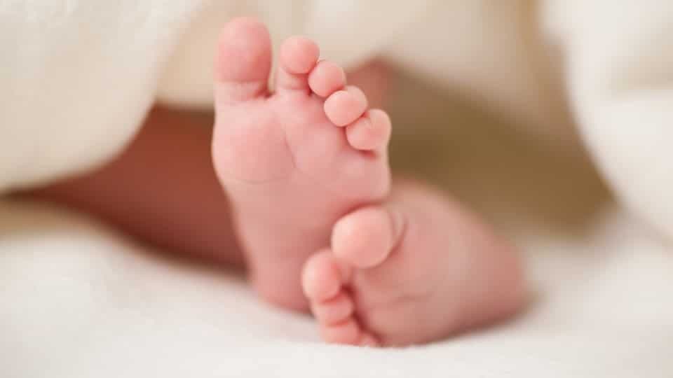Portugal increasingly hearing ‘patter of tiny feet’