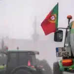 EU greenlights €30M package for farmers hit by storms at start of year