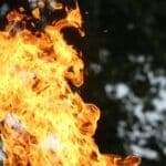 Around 50 municipalities in Portugal at maximum wildfire risk
