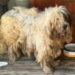 Tough love and no mistakes