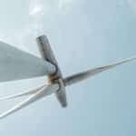Bird group calls for rejection of wind farm in eastern Algarve