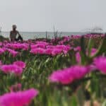 Clinical Psychology & Holistic Coaching in the Algarve