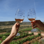 Hop-on hop-off wine tour returns to Algarve