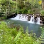 Serra da Estrela prepares for wildfire season using ancient knowledge