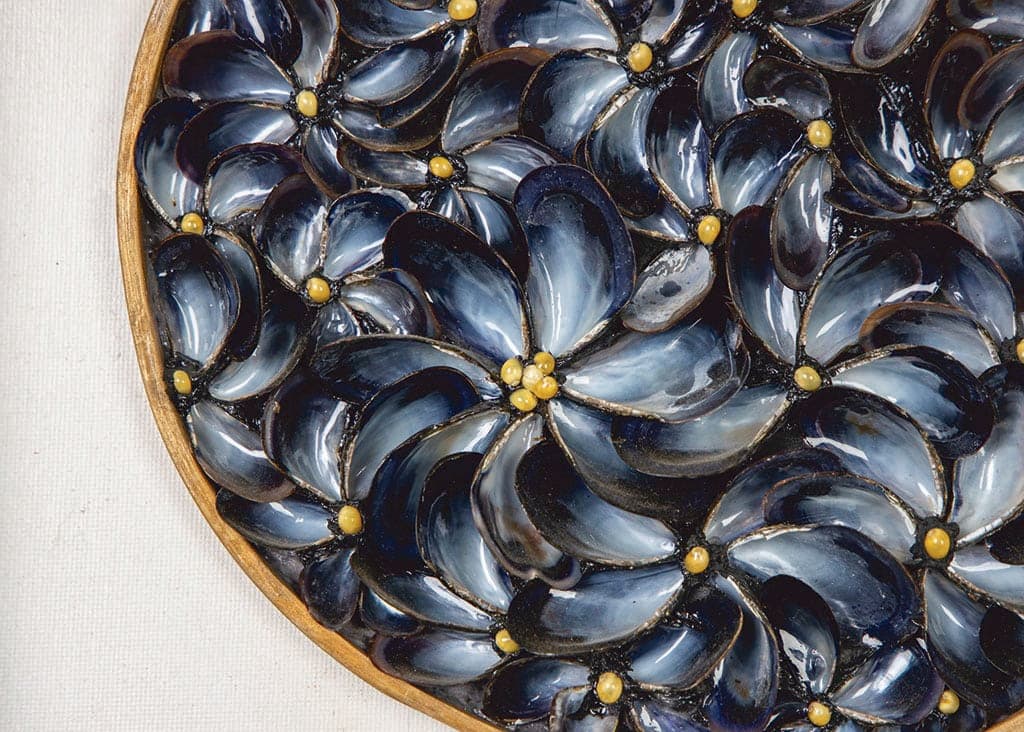Dana Shell Art: treasures of the sea