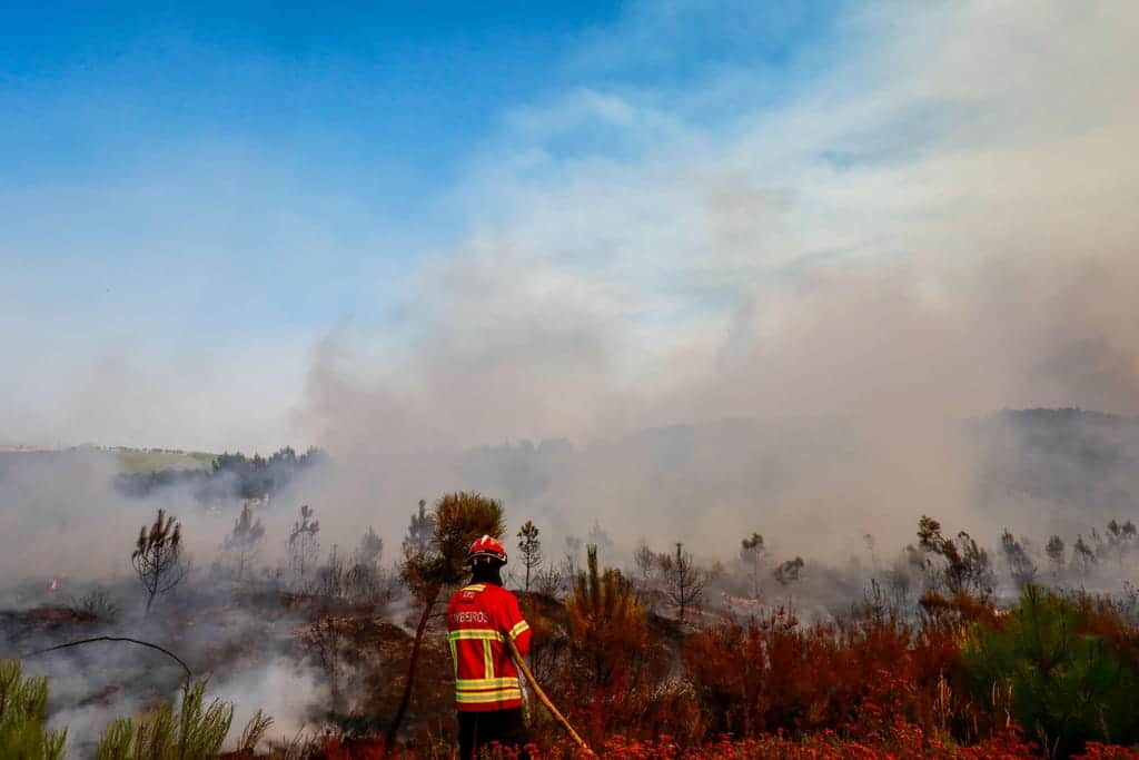 Wildfire season officially opens with 13,335 firefighters; over 80 aircraft