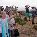 Portugal’s premier birdwatching festival returns to Sagres in October