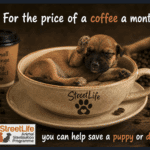 Tackling Eastern Algarve’s stray dog crisis, €5 at a time