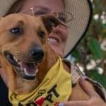 Meet & Greet helps shelter dogs shine