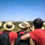 Young volunteers back on wildfire watch in Loulé