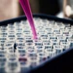 Breakthrough cancer injection to be tested in Portugal after “unprecedented” trial results