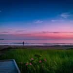 A Portuguese Dream of Midsummer’s Night