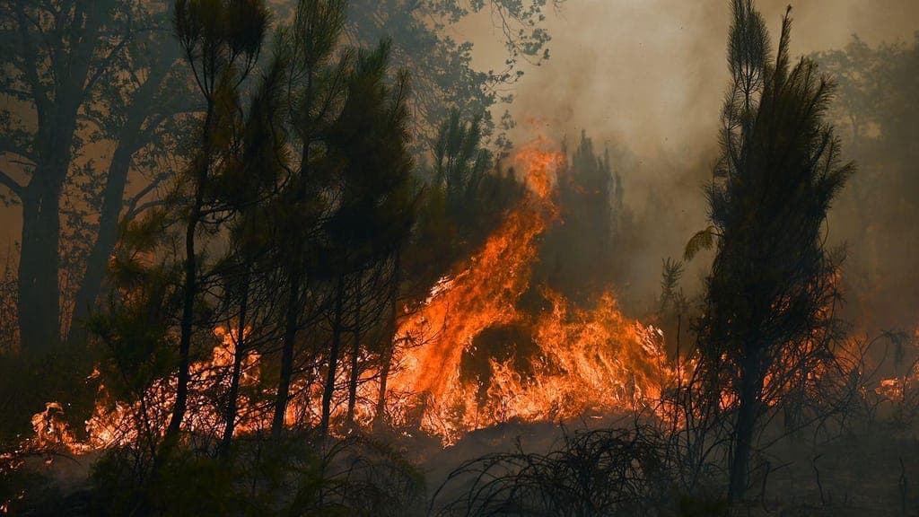Around 3,000 Portuguese evacuated as Bordeaux wildfires advance