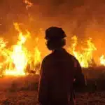 Major fire in Coimbra district spreads rapidly to four municipalities