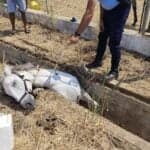 Horse rescued after dramatic four-hour operation in Albufeira