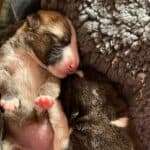Bonnie, Tyler and the power of community support