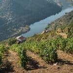 Portugal emerges as a safe-haven destination in Europe as global travel patterns shift