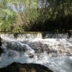 Loulé launches guide to attract investment in nature projects
