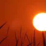 Heatwave fuels extreme wildfire risk across Portugal
