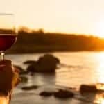 Tavira wine festival returns with 40 producers