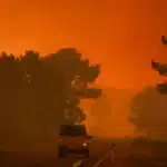 Anguish as Valpaços wildfire storms out of control