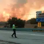 Fire cuts off A25 in Guarda; firefighters battle to stop flames spreading