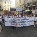 Covas do Barroso maintains David v. Goliath struggle against lithium mining