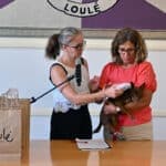 Loulé expands animal welfare with microchip readers, new centre