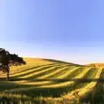 Chinese developer advances another hybrid energy project in Alentejo