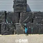 Cocaine delivery to Arrábida beach ‘under threat of privatisation’