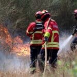 Six Algarve municipalities at maximum wildfire risk
