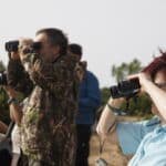 Sagres birdwatching festival matches 2025’s registrations in just one week