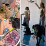 Doctors in Barcelos ‘prescribe’ walks, swimming and animals to treat depression