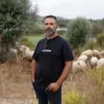 Sheep and goats unlikely groundskeepers at Algarve golf resort