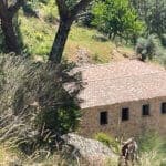 Central Portugal: room to live, money to spare