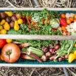 Algarve church celebrates harvest with community food appeal