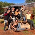 Month of Regeneration returns to western Algarve
