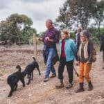 Walk & Art Fest returns to Barão de São João in November